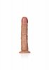 Curved Realistic Dildo with Suction Cup - 8/ 20,5 cm